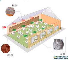 畜牧通风降温系统